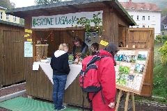 Info-Stand Grüne Liga